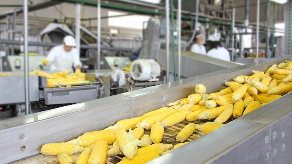 food processing rubber